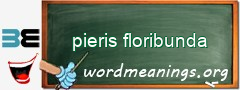 WordMeaning blackboard for pieris floribunda